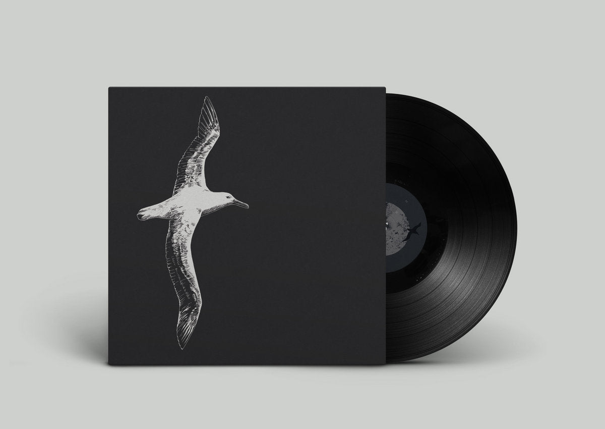 Hail, Meteor! – Nearer LP