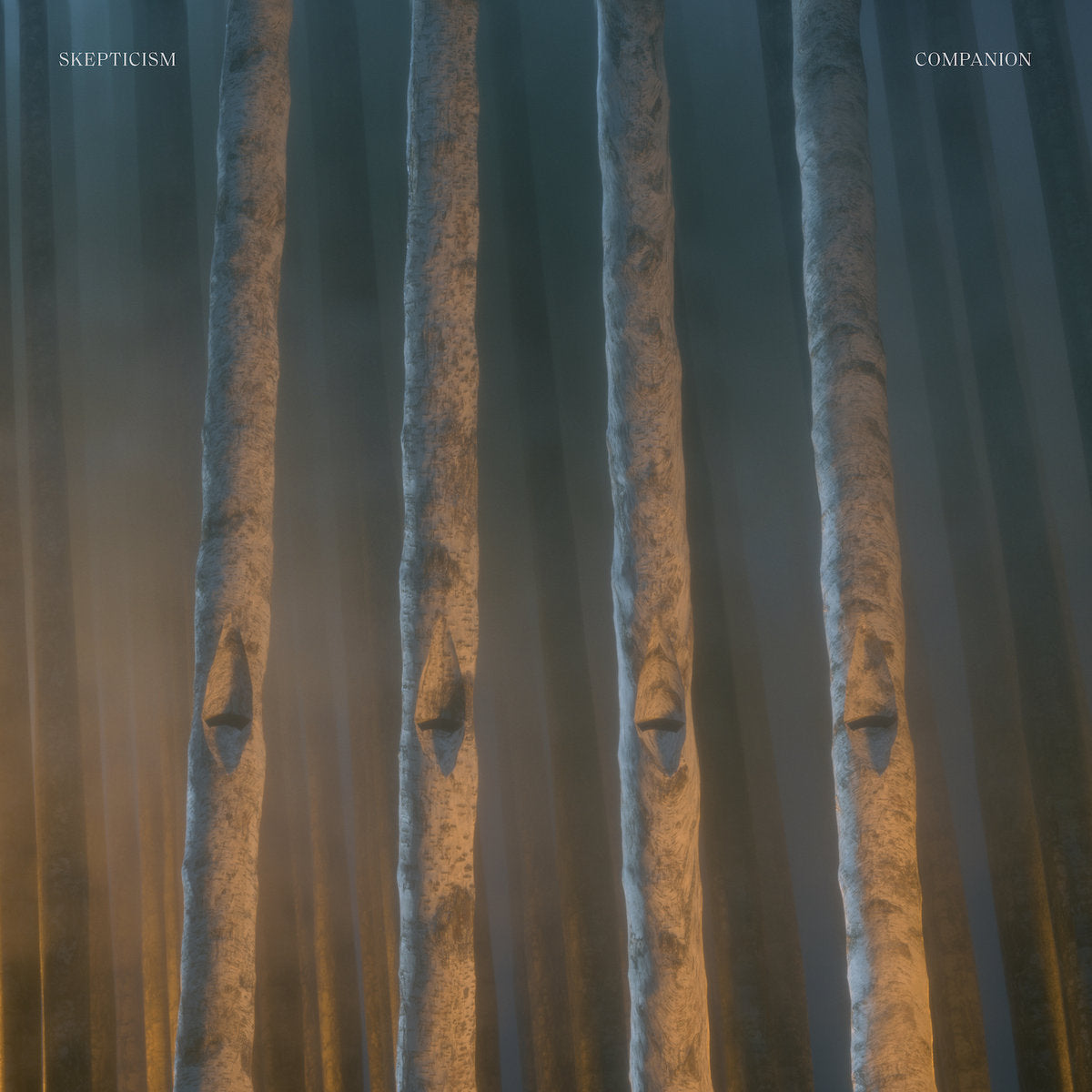 Curated visual reference: Skepticism Companion Lp Photo Inspiration