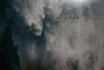 Deaf Center / Svarte Greiner – Owl Splinters / Twin 2LP