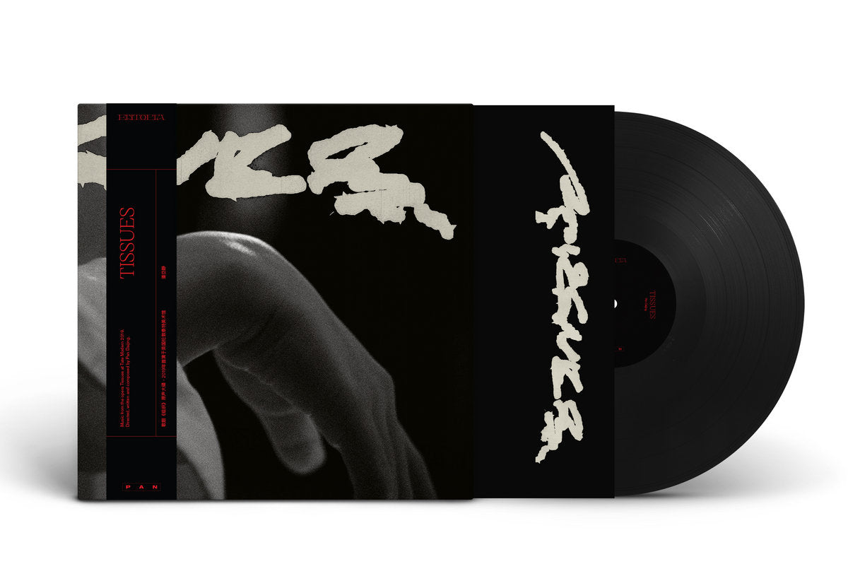 Pan Daijing – Tissues 2LP