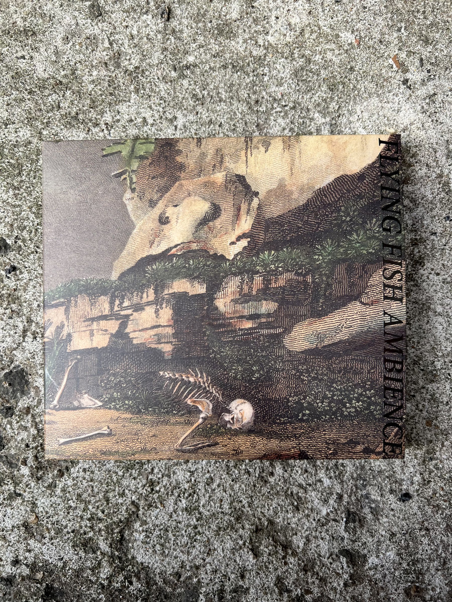 Rainforest Spiritual Enslavement – Flying Fish Ambience CD