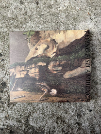 Rainforest Spiritual Enslavement – Flying Fish Ambience CD