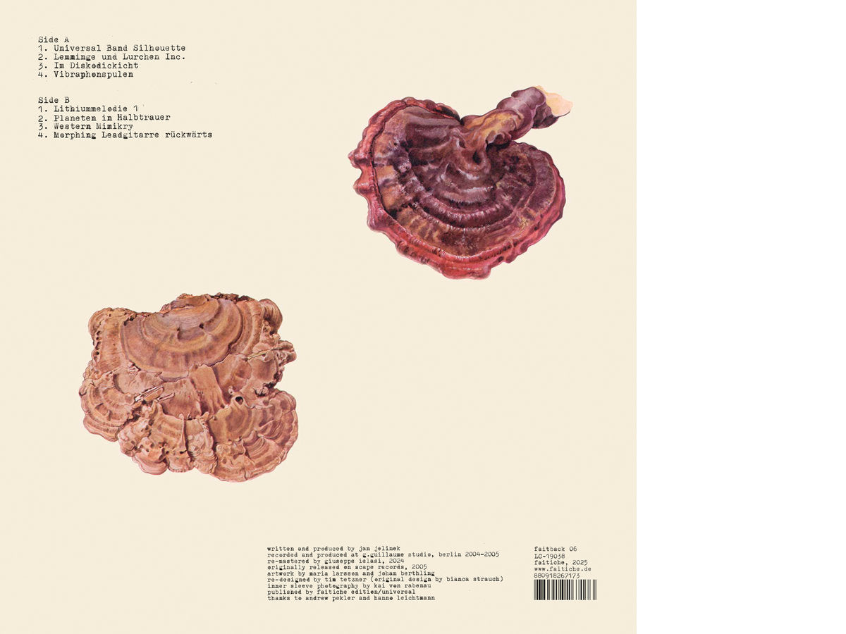 Jan Jelinek – Kosmischer Pitch LP