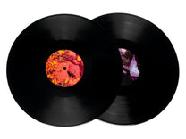 Merzbow – Animal Magnetism 2LP