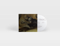 Bill Orcutt &amp; Mabe Fratti – Almost Waking CD