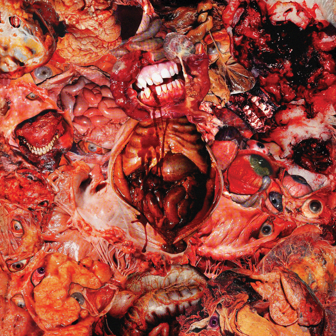 FesterDecay – From Demo To Rot LP