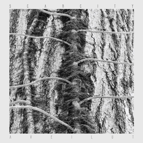 Scarcity – Aveilut MC