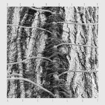 Scarcity – Aveilut MC