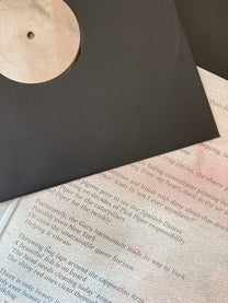 V/A – The World I Want Would Be Celestial, Wet 2LP