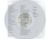 Bodies of Divine Infinite and Eternal Spirit – Disaster 1 LP