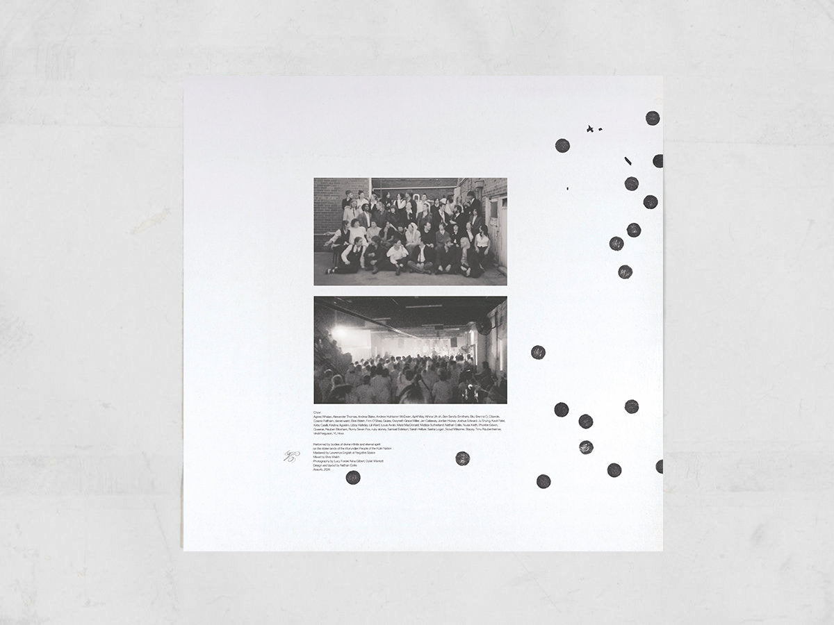 Bodies of Divine Infinite and Eternal Spirit – Disaster 1 LP