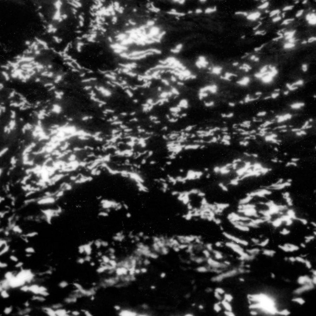 Grouper – A I A: Dream Loss LP