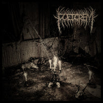 Foetorem – Demo 2025 MCD