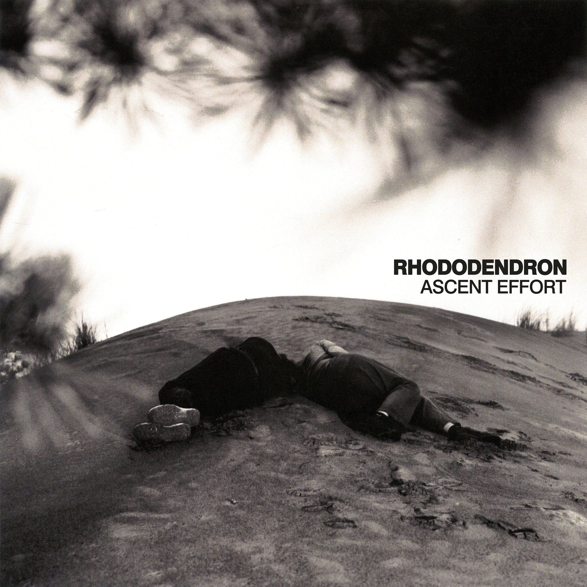 Rhododendron – Ascent Effort CD