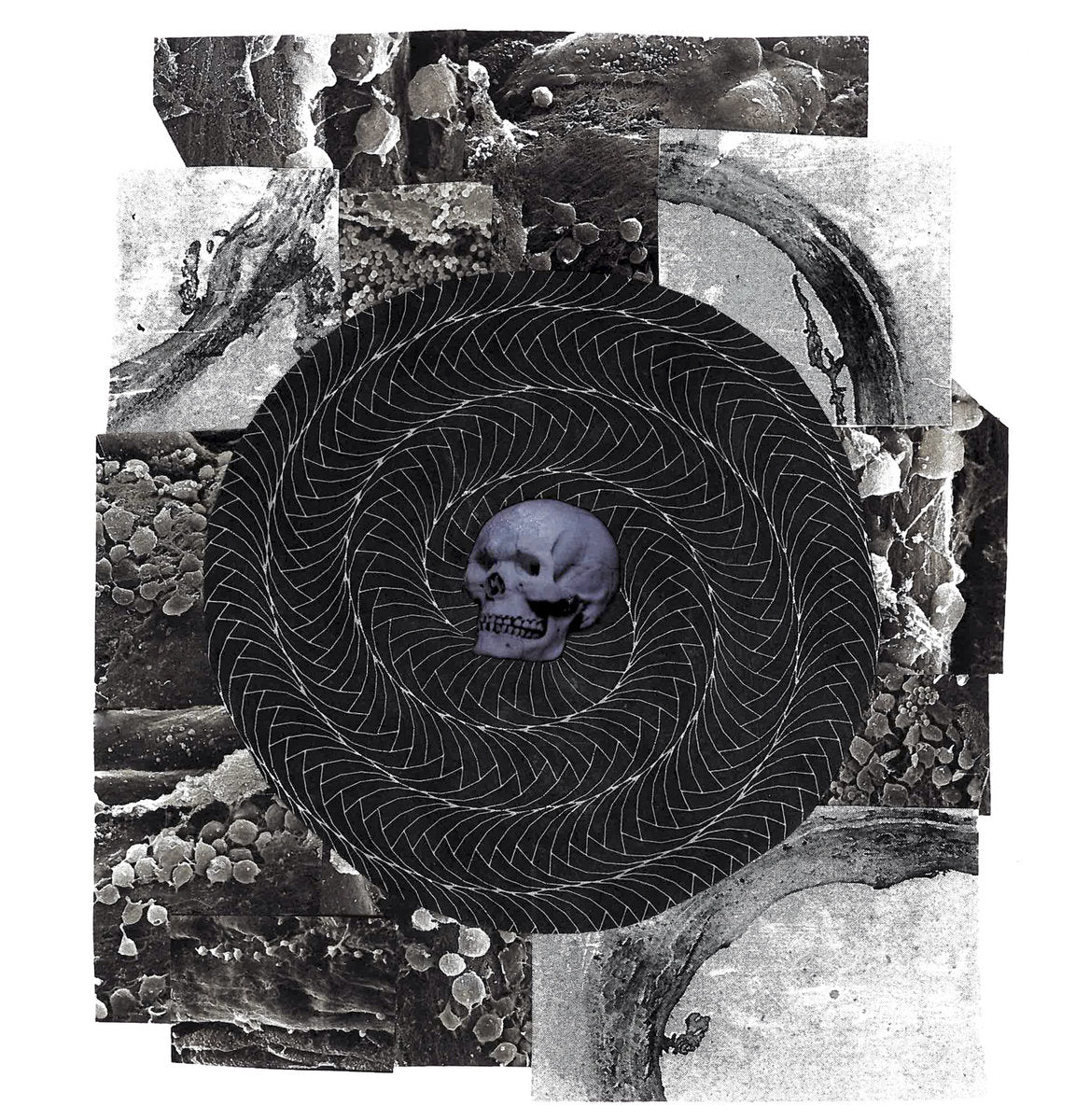 Hate Activist – S/T CD