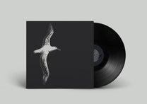 Hail, Meteor! – Nearer LP