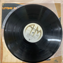 Skyhooks – Living In The 70's LP (Rare / Used, G)