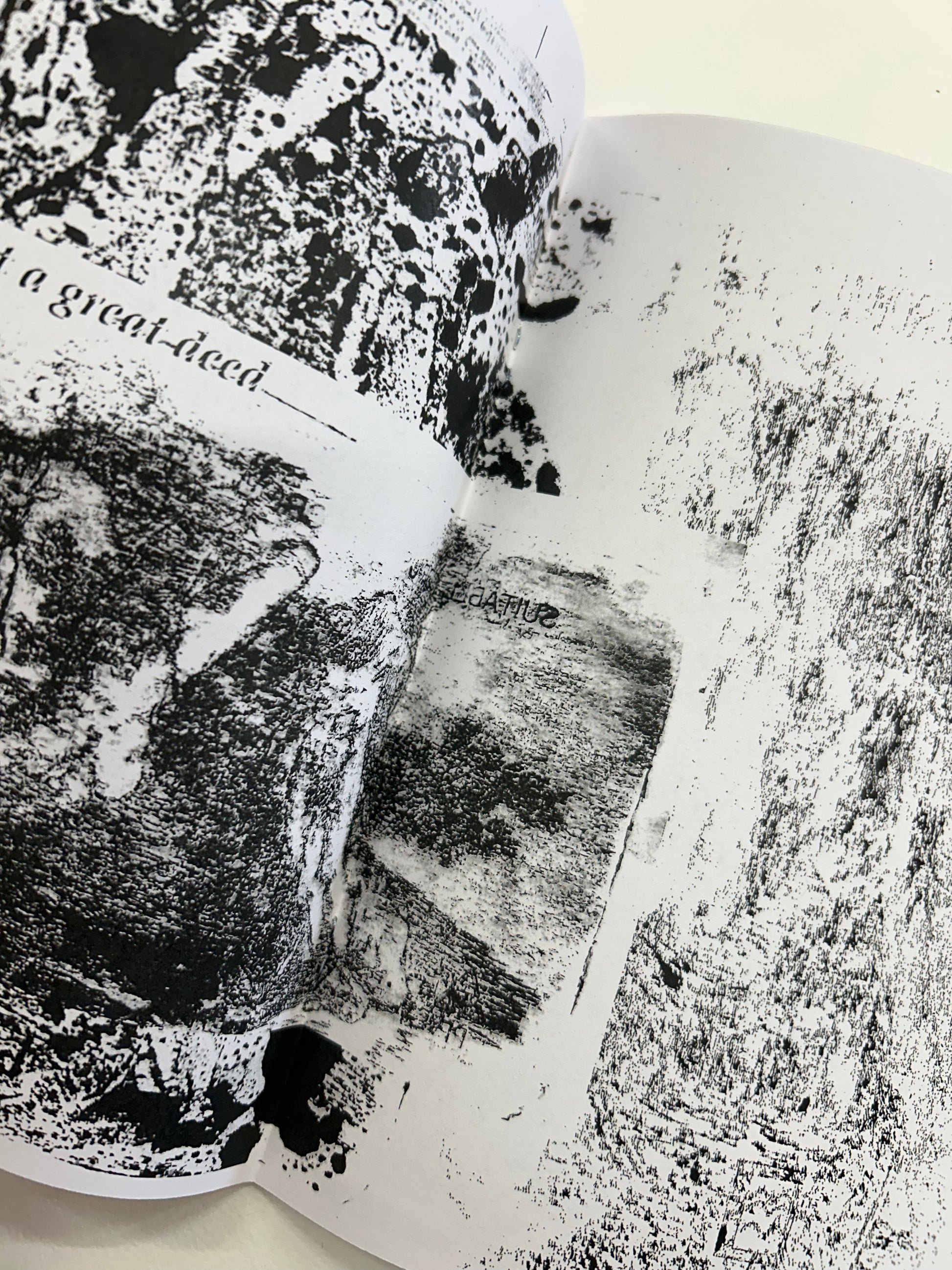 Devouring The Tail, by Josh Van Eymeren BK/Zine