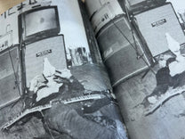 Rev. Kriss Hades, Photozine by Scott James
