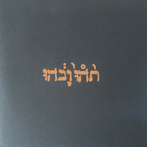 Godspeed You! Black Emperor – Slow Riot For New Zero Kanada E.P. MLP (Rare / Used, VG+)