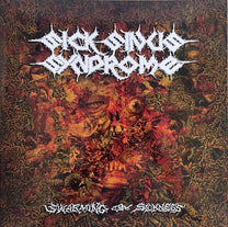 Sick Sinus Syndrome – Swarming Of Sickness LP (Rare / Used, VG+)