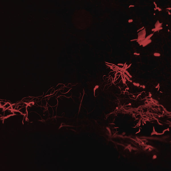 Svarte Greiner – Moss Garden LP