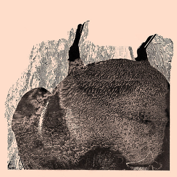 Svarte Greiner – Knive LP