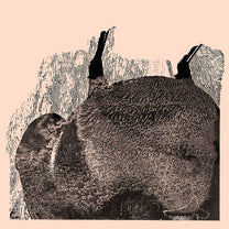 Svarte Greiner – Knive LP