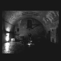 Svarte Greiner – Devolving Trust LP