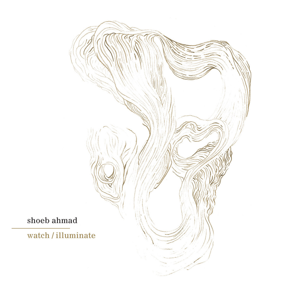 Shoeb Ahmad – Watch / Illuminate CD