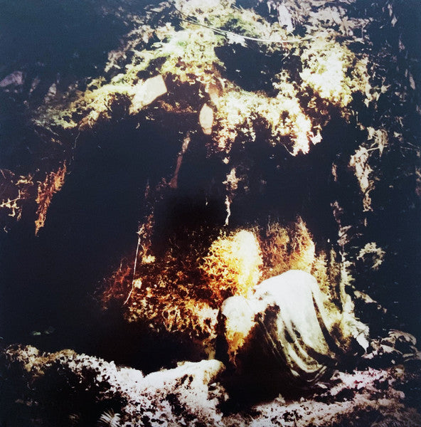 Wolves In The Throne Room – Celestial Lineage 2LP (Rare / Used, NM)