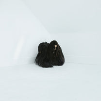 Chelsea Wolfe – Hiss Spun 2LP (Rare / Used, NM)