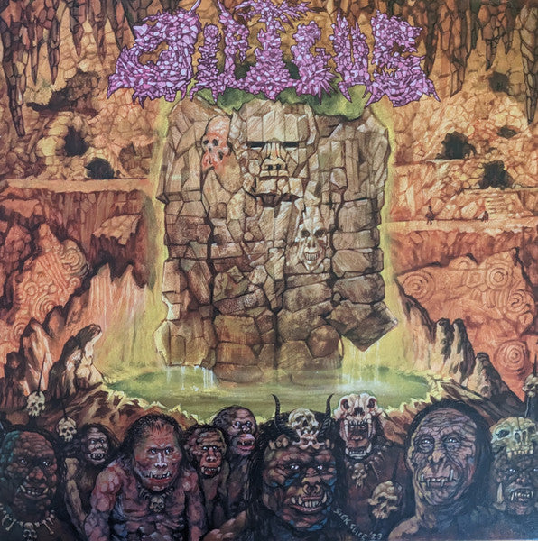 Dipygus – Dipygus LP (Rare / Used, NM)
