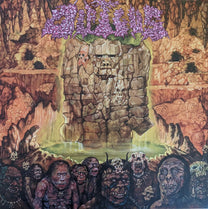 Dipygus – Dipygus LP (Rare / Used, NM)
