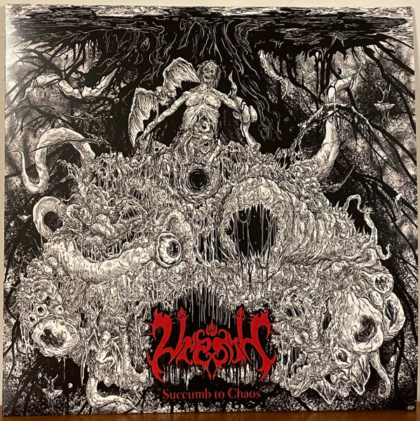 Vrenth – Succumb To Chaos 12" (Rare / Used, NM)