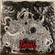 Vrenth – Succumb To Chaos 12" (Rare / Used, NM)