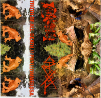Truth Of All Death / Phyllomedusa – S/T Split MC (Rare / Used, VG+)