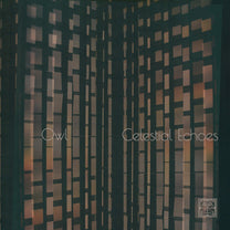 Owl – Celestial Echoes MC (Rare / Used, NM)