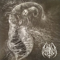 Ill Omen – Divinity Through Un-Creation LP (Rare / Used, VG+)