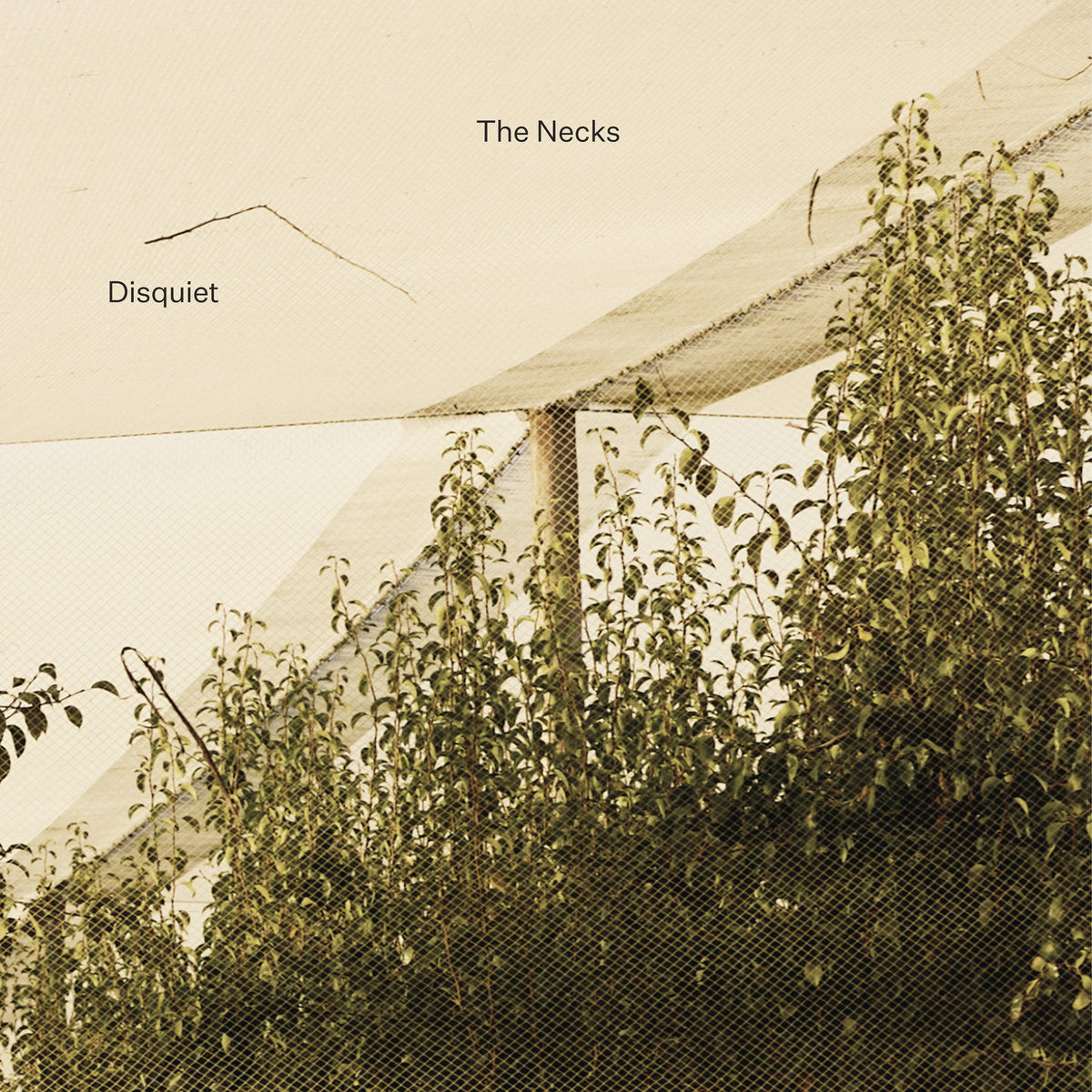 The Necks – Disquiet 3CD