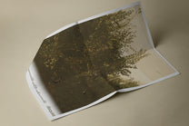 The Necks – Disquiet 3CD