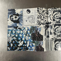 Debt Of Nature – Robin Diamond's Lungs LP
