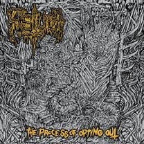 Fistula – The Process of Opting Out CD (Rare / Used, VG+)