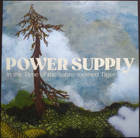 Power Supply – in The Time Of The Sabre-Toothed Tiger LP (Rare / Used, VG+)