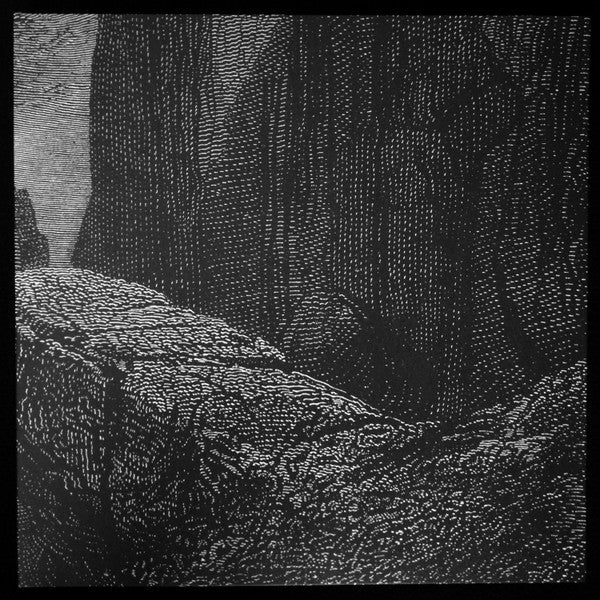 Núll – Entity LP (Rare / Used, NM)