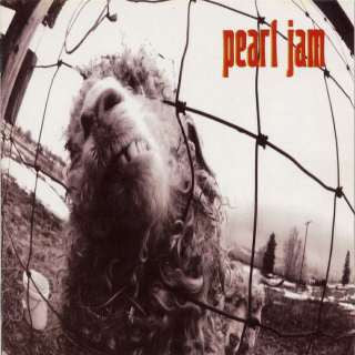 Pearl Jam – Vs. CD (Rare / Used, G)