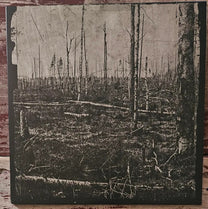 Hate Forest – Scythia LP (Rare / Used, NM)