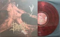 Evighetens – Sørdlyset Tempel LP (Rare / Used, NM)
