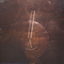 Eyvind Kang &amp; Jessika Kenney – Reverse Tree LP (Rare / Used, NM)