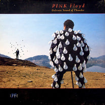 Pink Floyd – Delicate Sound Of Thunder 2LP (Rare / Used, VG+)